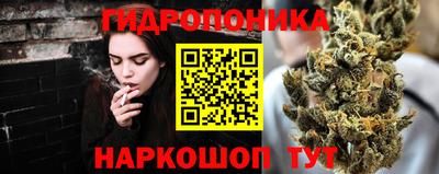 трава Аша
